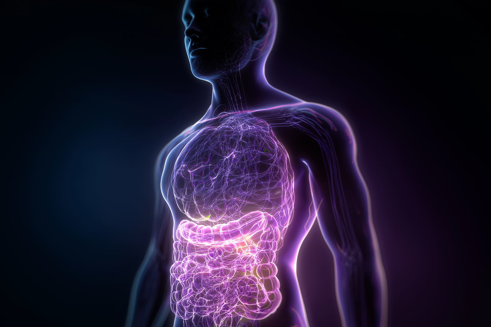 The Gut-Skin Axis: How Your Digestive Health Directly Impacts Your Skin